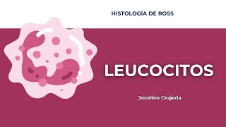 Leucocitos y diapédesis  Histología de Ross [upl. by Leirbag]