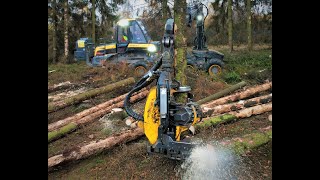 🌲Ergo amp big trees • Ponsse Ergo • HarvesterAction • Herzog Winch • Uelhoff • It´s Winter • Part1🌲 [upl. by Cheyney]