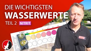 Die wichtigsten Wasserwerte im Gartenteich  Teil 2 Nitrit [upl. by Matilda86]