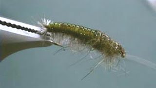 Hydropsyche Caddis Larva fly tying video by Shane Stalcup [upl. by Chee]