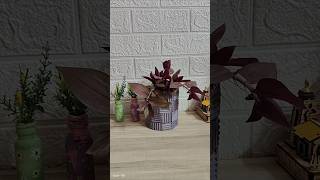 Diy planter from waste box handmadediy diy hanmade diyplantergardendecor art homedecorshorts [upl. by Colette48]