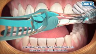 Técnica correcta para el cepillado de dientes  Oral B LT [upl. by Ahtivak]