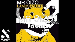 Mr Oizo  Positif Official Audio [upl. by Nodnil760]