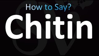 How to Pronounce Chitin correctly [upl. by Garihc]