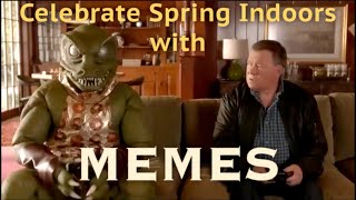 SPRING is here featuring TRUMP Biden Dune in a DemiMEME glaze [upl. by Tanah]