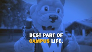 Best Part of Campus Life  Webster University [upl. by Phyllys]