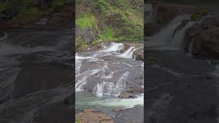 Amazing Waterfalls nature shorts ooty river nature calm peaceful waterfall pykarafalls [upl. by Shelburne]