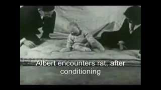 Little Albert Experiment Watson [upl. by Yllib]