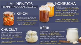 Intestino Saludable Con La Microbiota Intestinal  KIMCHI  CHUCRUT  KOMBUCHA  KÉFIR [upl. by Zrike]