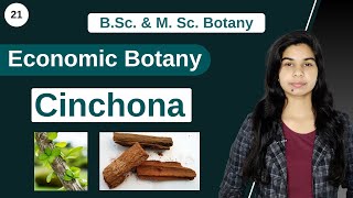 Economic Botany  Medicinal Plants  Cinchona  B Sc amp M Sc [upl. by Teirrah]