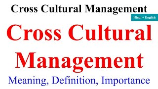 Cross Cultural Management in hindi international business cross cultural management mba [upl. by Arlina]