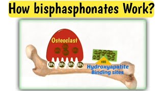 Mechanism action of bisphasphonates  How bisphasphonates work  Doctors goal [upl. by Hareemas916]