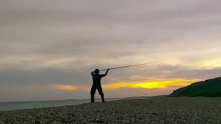 HORDLE CLIFF FISHING undulatespotted and small eyed rays [upl. by Lozar604]