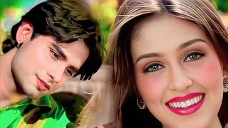 Chand Tare Phool Shabnam  Tumse Achcha Kaun Hai  Nakul Kapoor  90s Best Romantic Songs [upl. by Zebada]