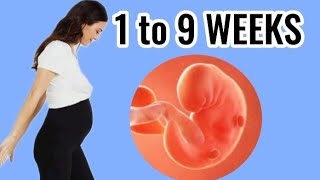 Early Pregnancy 1 TO 9 WEEKS PREGNANCY  From Conception to Early Pregnancy [upl. by Celestyna]