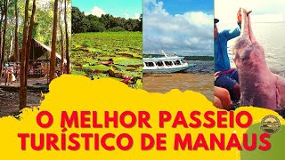 Dicas de Turismo no Amazonas I Conheça o Melhor Passeio de Barco no Amazonas I Destinos da Amazônia [upl. by Gallager]