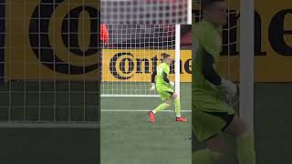 Djordje Petrović’s MLS AllStar Reel nerevs mlsallstar serbia goalkeeper [upl. by Tnafni]