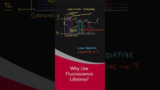 Why Use Fluorescence lifetime fluoroscopy science [upl. by Feil]