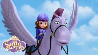 The Rescue  Sofia the First  disneyjr [upl. by Kreit770]