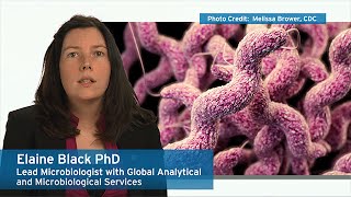 Ecolab Experts on Microbes – Campylobacter [upl. by Sivra172]