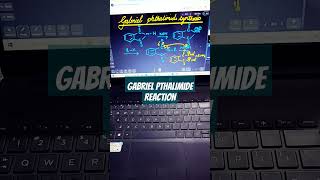 GABRIEL PHTHALIMIDE SYNTHESISnamereactions gabrielphthalimidesynthesis organicchemistry science [upl. by Cuthbertson]