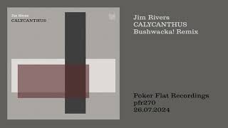 Jim Rivers Calycanthus Bushwacka Remix [upl. by Attelrahc921]