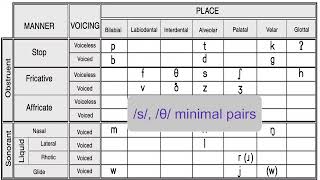 Alveolar fricatives s and z [upl. by Borgeson]