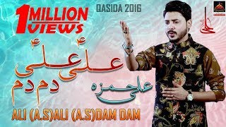 Ali Ali Dam Dam  Ali Hamza  Qasida Mola Ali AS  New Qasida  2016 [upl. by Eelime]