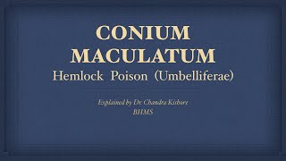 Conium Maculatum  Allen’s Keynotes  Well Explained [upl. by Tsugua]