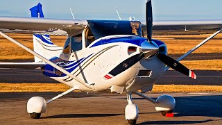 Why Everyone Loves the CESSNA 182 SKYLANE [upl. by Yelich]