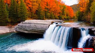 Beautiful Waterfall in Autumn Forest Waterfall Sounds Flowing Water White Noise for Sleeping [upl. by Kowalski60]