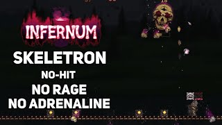 Skeletron NoHit mage  No rage no adrenaline Calamity Infernum [upl. by Ontina]