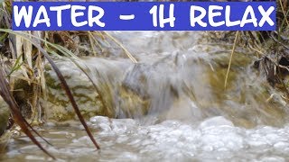 ASMR RELAXATION WATER  RUISSEAU  SENDORMIR DETENTE ASLEEP [upl. by Pepin294]