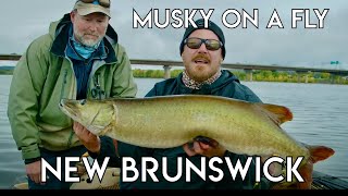 Incredible Musky Fishing  New Brunswick [upl. by Hercules]