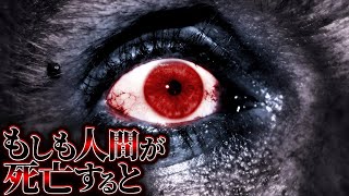 【宿命】人間は死ぬとどうなるのか？ [upl. by Alyhs]