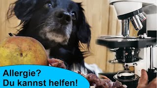 Futterintoleranz Unverträglichkeit oder Allergie beim Hund So kannst du deinem Hund helfen [upl. by Ajnek]