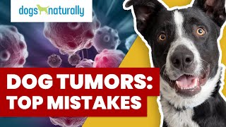 How To Tell If Your Dogs Lump Is Cancer [upl. by Sira126]