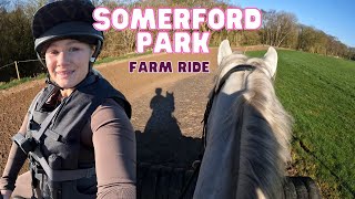 WE JUMPED SOME MASSIVE BRUSH FENCES  somerford park farm ride  GoPro [upl. by Boyden285]