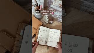 Moleskine pocket weekly flip🤍 planner plannercommunity plannersetup planning planwithme [upl. by Epuladaugairam263]