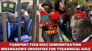 Chaputikira🥵ZanuPF amp Mnangagwa regime ZimCitizens spark Demonstration in SA over passport fee hike [upl. by Anetsirhc]