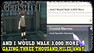 Gazing Three Thousand Miles Away Quest Guide Genshin Impact And I Would Walk 3000 More Achievement [upl. by Yarahs]