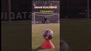 quotInsane Goalkeeper Training Reflexes Like Youve Never Seenquot [upl. by Nollaf]