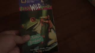 Really Wild Animals Totally Tropical Rain Forest 1994 VHS [upl. by Gale282]