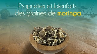 Propriétés et bienfaits des graines de moringa [upl. by Guildroy]