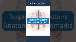 Anatomy Landmarks Uncovered 📍 NursingAnatomy MedicalLandmarks nclexrn [upl. by Esinad]