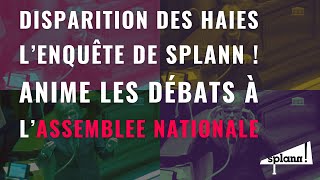 Quand lenquête de « Splann  » sur le bocage anime les débats à lAssemblée nationale 24 mai 2024 [upl. by Brenn]