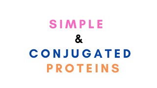 Simple and Conjugated Proteins  Microbiology Biochemistry [upl. by Ioab933]