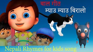 म्याउ म्याउ बिरालो  Myau Myau Biralo Famous RhymesNepali for kids Popular Rhymesबाल गीत [upl. by Rolo594]