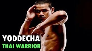 Yoddecha Sityodtong  Muay Thai Warrior Highlights amp Knockouts [upl. by Oriole]