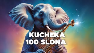 Balkanizatora  Kucheka 100 Slona Sanana slowed version [upl. by Hgielram]